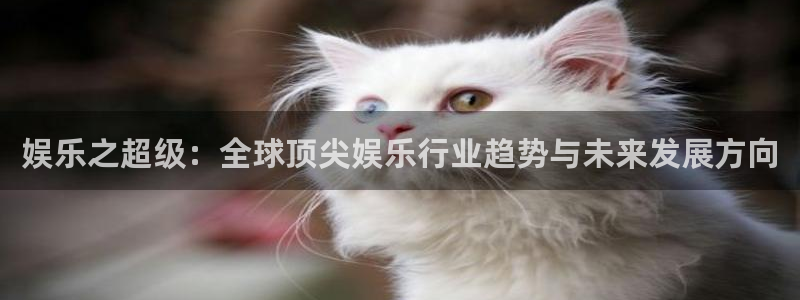 今年会：娱乐之超级：全球顶尖娱乐行业趋势与未来发展方向