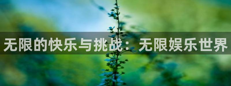 今年会官网登录入口：无限的快乐与挑战：无限娱乐世界