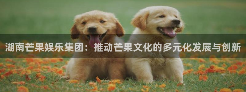 今年会官网登录入口：湖南芒果娱乐集团：推动芒果文化的多元化发展与创新