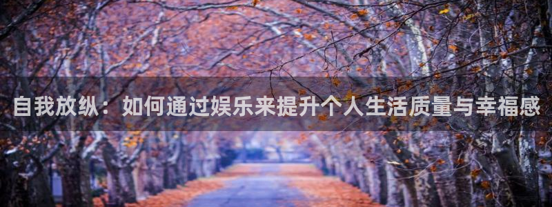 今年会首页：自我放纵：如何通过娱乐来提升个人生活质量与幸福感