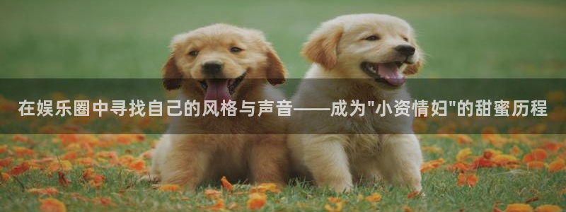 今年会app：在娱乐圈中寻找自己的风格与声音——成为\