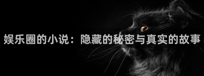 今年会体育：娱乐圈的小说：隐藏的秘密与真实的故事