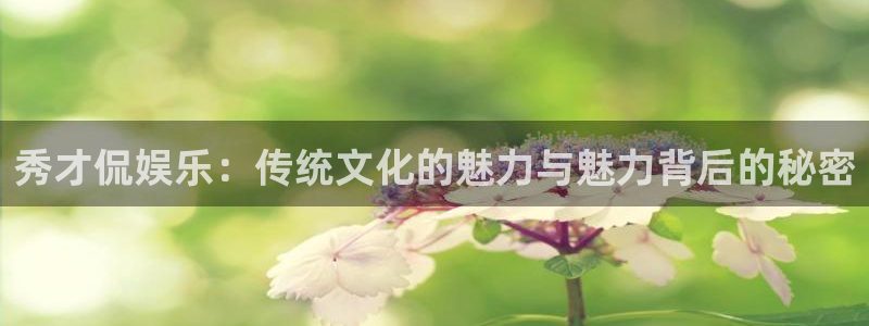 今年会：秀才侃娱乐：传统文化的魅力与魅力背后的秘密